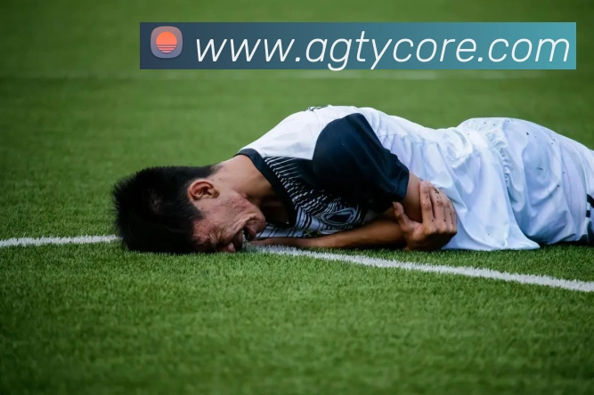 AG体育服务体系